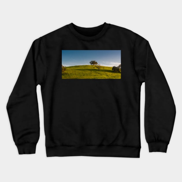 Strong Desire for a Rocking Chair Crewneck Sweatshirt by Sidetrakn